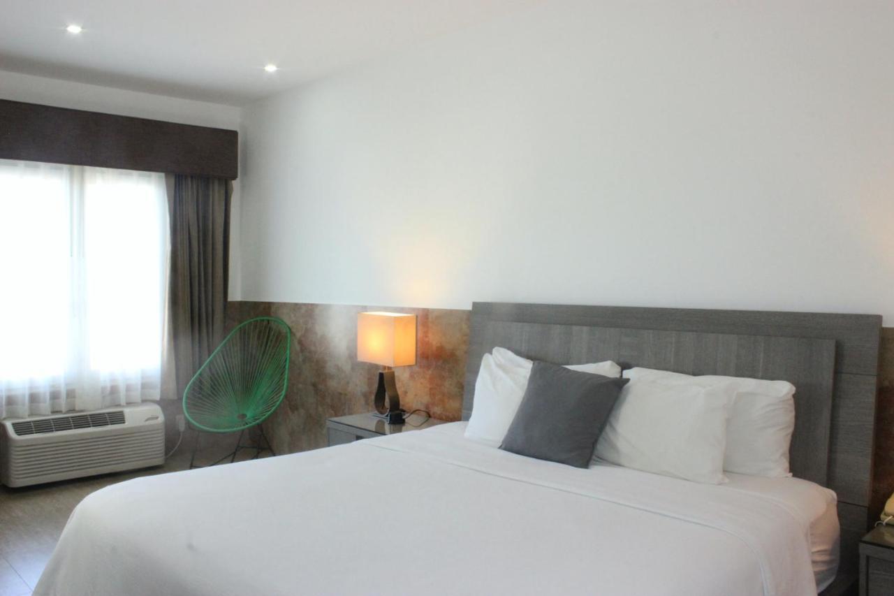 Beverly Hills: Hotel And Business Nuevo Cuscatlan Luaran gambar